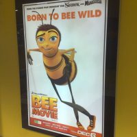 aus- bee movie backlit