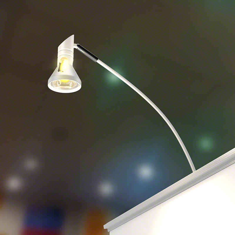 BSRDisposablePullUpBanner_HalogenLamp.jpg